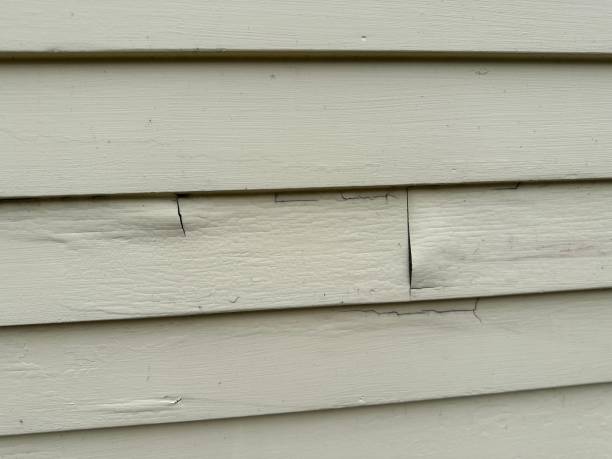 Best Custom Trim and Detailing for Siding  in Elkton, KY